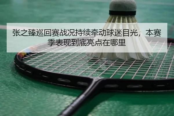张之臻巡回赛战况持续牵动球迷目光，本赛季表现到底亮点在哪里